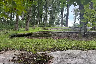 000 Laurel Ledge Way #23, Fletcher, NC 28732 - Photo 15