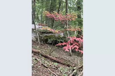 000 Laurel Ledge Way #23, Fletcher, NC 28732 - Photo 17