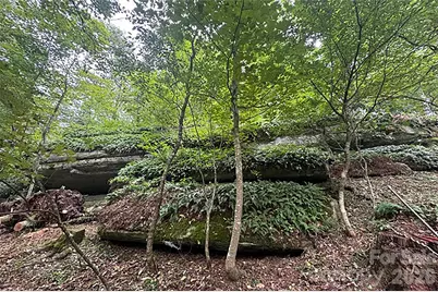 000 Laurel Ledge Way #23, Fletcher, NC 28732 - Photo 13