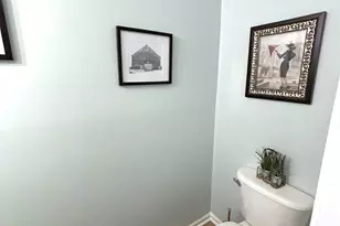 311 Wilkes Pl Dr, Fort Mill, SC 29715 - Photo 21