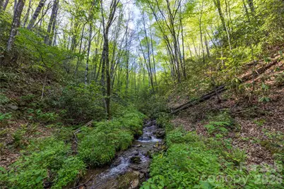 3409 Parris Branch Road, Sylva, NC 28779 - Photo 17