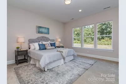 156 Triple Ponds Court, Clover, SC 29710 - Photo 19