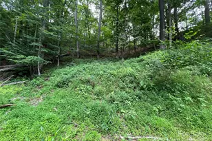 0 Chestnut Ln, Mars Hill, NC 28754 - Photo 7