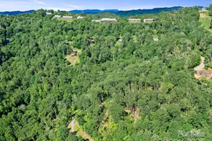 0 Chestnut Ln, Mars Hill, NC 28754 - Photo 15