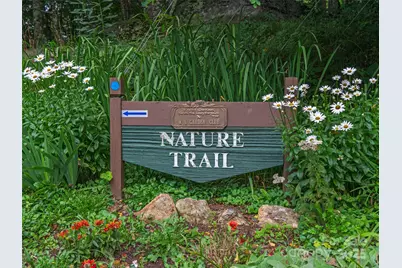 0 Chestnut Lane #Lot 84, Mars Hill, NC 28754 - Photo 19