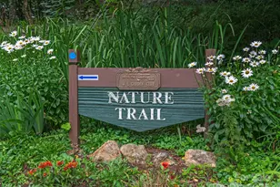 0 Chestnut Ln, Mars Hill, NC 28754 - Photo 19