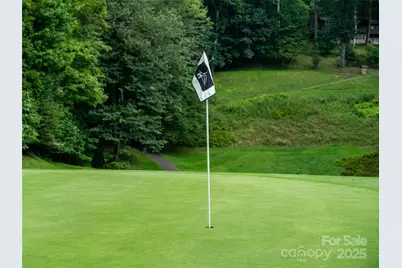 0 Chestnut Lane #Lot 84, Mars Hill, NC 28754 - Photo 21