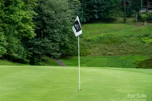 0 Chestnut Ln, Mars Hill, NC 28754 - Photo 21