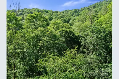 0 Chestnut Lane #Lot 84, Mars Hill, NC 28754 - Photo 13