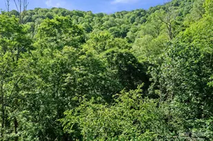 0 Chestnut Ln, Mars Hill, NC 28754 - Photo 13