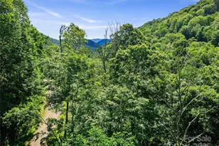 0 Chestnut Ln, Mars Hill, NC 28754 - Photo 11