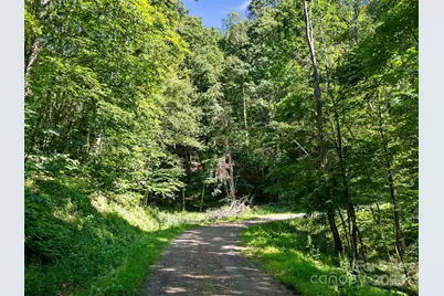 0 Chestnut Lane #Lot 84, Mars Hill, NC 28754 - Photo 3