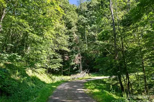 0 Chestnut Ln, Mars Hill, NC 28754 - Photo 3