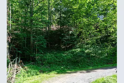 0 Chestnut Lane #Lot 84, Mars Hill, NC 28754 - Photo 5