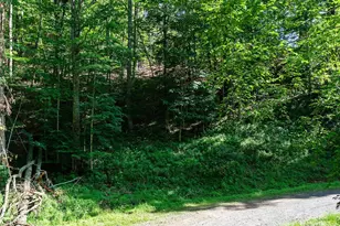 0 Chestnut Ln, Mars Hill, NC 28754 - Photo 5