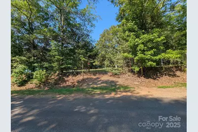0000 Tract #1A Roddey Road, Catawba, SC 29704 - Photo 3