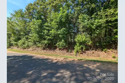 0000 Tract #1A Roddey Road, Catawba, SC 29704 - Photo 5