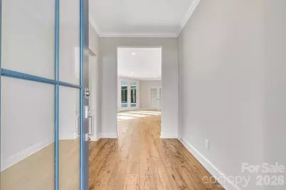 243 Alenda Lux Circle, Mooresville, NC 28115 - Photo 5