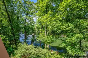 126 Sleeping Bear Ln, Lake Lure, NC 28746 - Photo 39