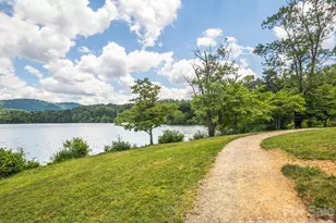 44 Ardoyne Rd, Asheville, NC 28804 - Photo 43