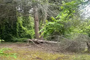 2870 Rutherford College Rd, Connelly Springs, NC 28612 - Photo 19