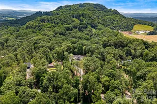 70 J P Huggins Dr, Hendersonville, NC 28791 - Photo 47