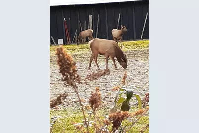 94 Market Street, Maggie Valley, NC 28751 - Photo 35