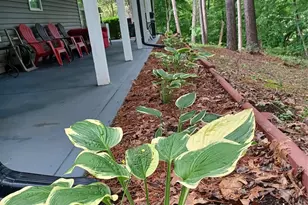 3645 Lake Bluff Dr, Sherrills Ford, NC 28763 - Photo 23