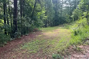 560 Hester Mill Rd, Rutherfordton, NC 28139 - Photo 21