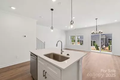 234 Tiger Lily Drive, Fort Mill, SC 29708 - Photo 5