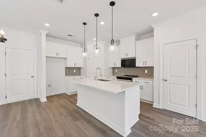 230 Tiger Lily Drive, Fort Mill, SC 29708 - Photo 7