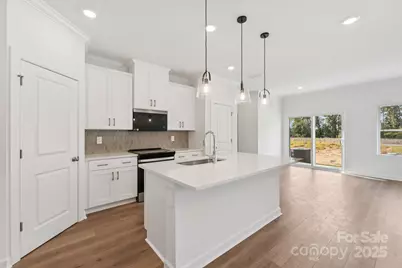 230 Tiger Lily Drive, Fort Mill, SC 29708 - Photo 9