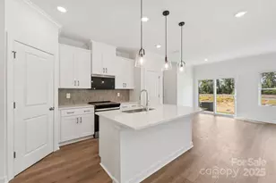 230 Tiger Lily Dr, Fort Mill, SC 29708 - Photo 9