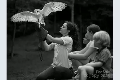 23 (#1) Lodestone Drive, Sylva, NC 28779 - Photo 33