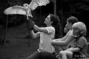 23 Lodestone Dr #1, Sylva, NC 28779 - Photo 33