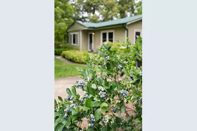 75 Cisco Road, Asheville, NC 28805 - Photo 19