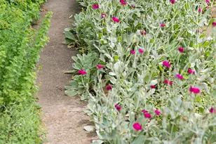 75 Cisco Rd, Asheville, NC 28805 - Photo 47