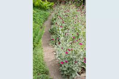 75 Cisco Road, Asheville, NC 28805 - Photo 47