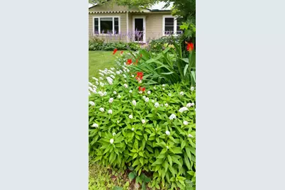 75 Cisco Road, Asheville, NC 28805 - Photo 13