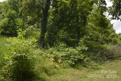 999 Red Wolf Run #48, Mars Hill, NC 28754 - Photo 11