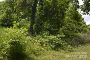 999 Red Wolf Run, Mars Hill, NC 28754 - Photo 11