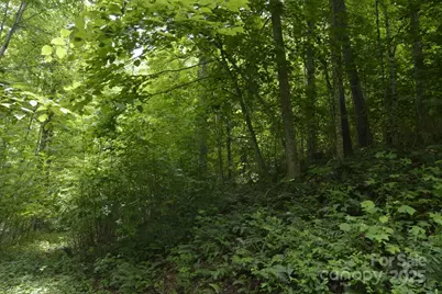 999 Red Wolf Run #48, Mars Hill, NC 28754 - Photo 9