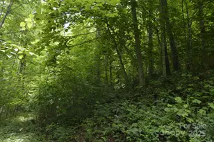 999 Red Wolf Run, Mars Hill, NC 28754 - Photo 9