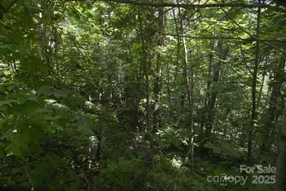 999 Red Wolf Run #48, Mars Hill, NC 28754 - Photo 7