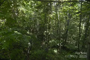 999 Red Wolf Run, Mars Hill, NC 28754 - Photo 7