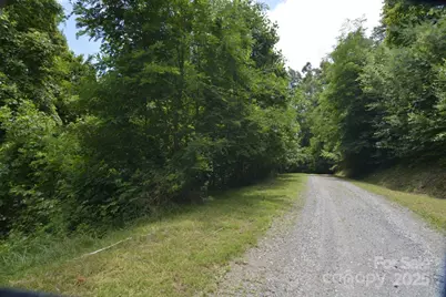 999 Red Wolf Run #48, Mars Hill, NC 28754 - Photo 5