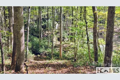 117 Speckled Feather Pass, Sapphire, NC 28774 - Photo 5