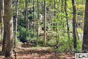 117 Speckled Feather Pass, Sapphire, NC 28774 - Photo 5