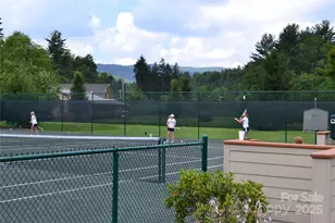 117 Speckled Feather Pass, Sapphire, NC 28774 - Photo 19