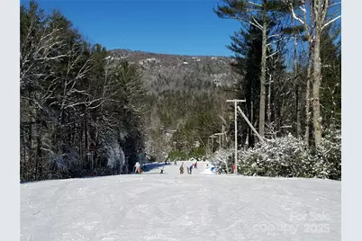 117 Speckled Feather Pass, Sapphire, NC 28774 - Photo 21